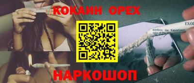 стафф Заводоуковск