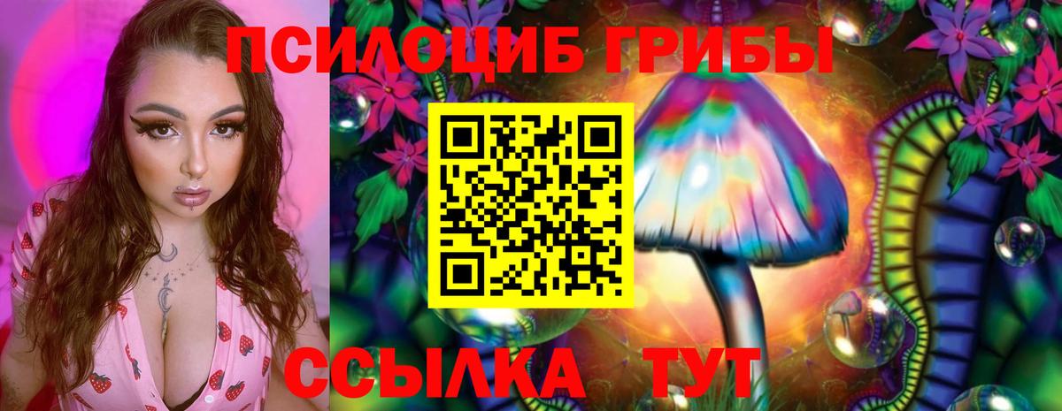 Галлюциногенные грибы GOLDEN TEACHER Уфа